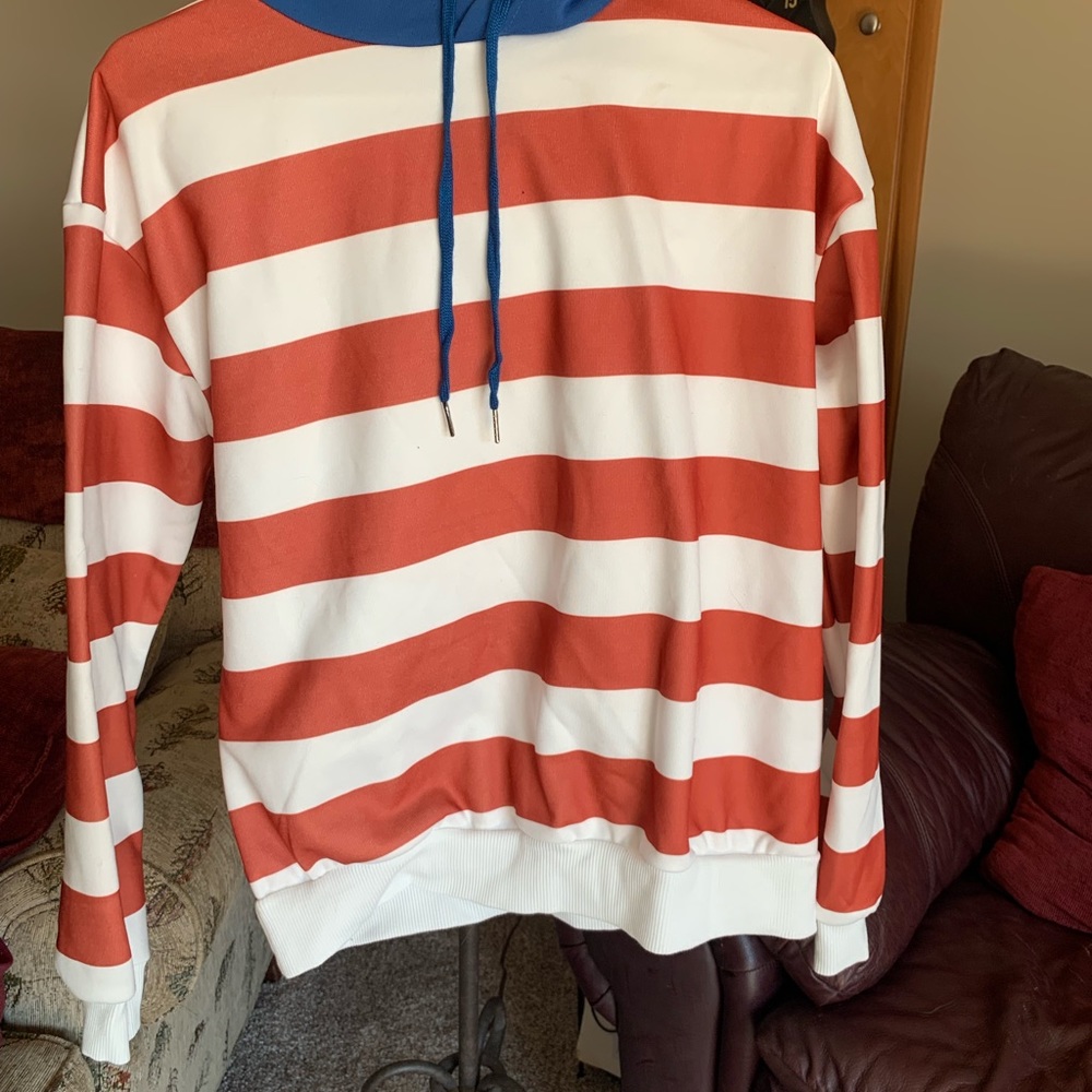 Fitted hoodie, color block used gorgeously.